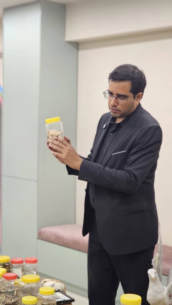 آموزش انواع جانوران - پایه اول